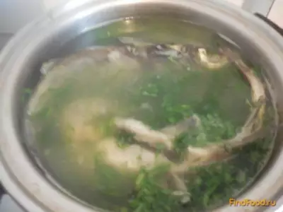Детский рыбный суп из сомиков рецепт с фото