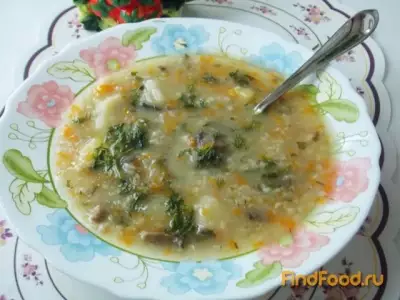 Суп овсяный с грибами рецепт с фото