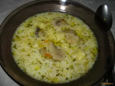 Грибной молочный суп рецепт с фото
