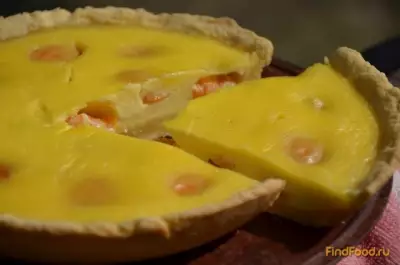 Заливной абрикосовый пирог рецепт с фото