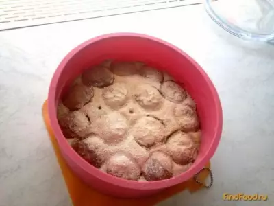 Сочный абрикосовый пирог рецепт с фото