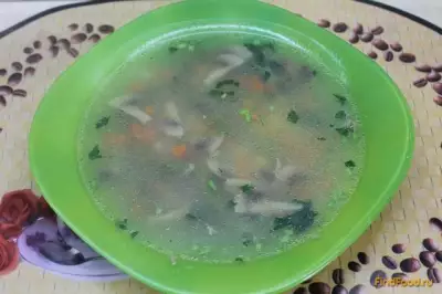 Диетический суп на курином бульоне рецепт с фото