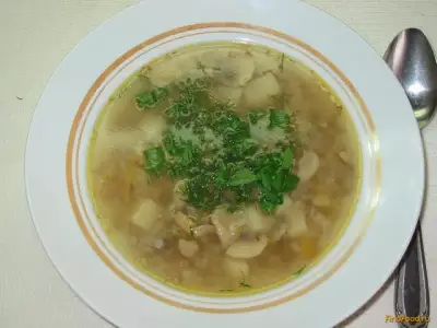 Постный гречневый суп с грибами рецепт с фото