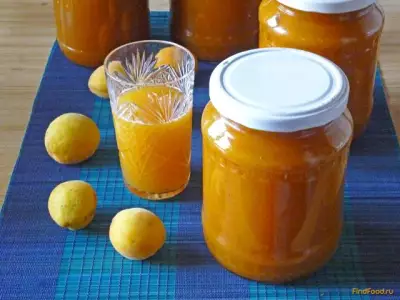 Концентрат абрикосового сока на зиму рецепт с фото