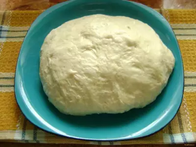 Тесто для пиццы на растительном масле рецепт с фото