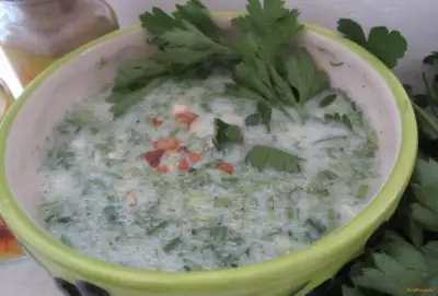 Болгарский суп Таратор рецепт с фото