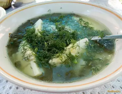 Суп с ревенем рецепт с фото
