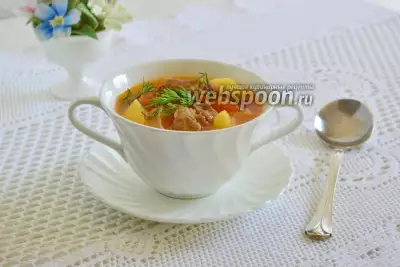 Густой суп из свинины с фенхелем