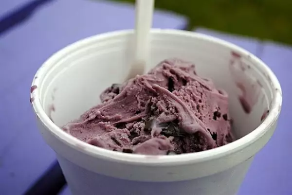 йогуртовое малиновое мороженое с шоколадными чипсами
